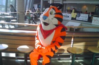 The Myths & Details of Intermittent Fast...