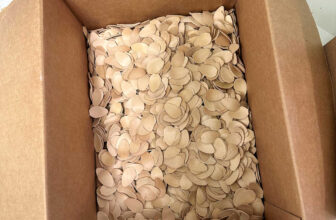 The Studio Punch Checklist – Addicted 2...