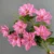 Beautiful Clematis Artificial Flower Real Touch Feeling 75cm Long Branch Fake Floral for Home Wedding Desktop Decoration Outdoor